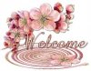 welcome5.jpg