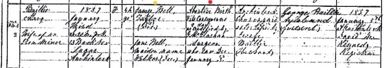 Death certificate Mary Baillie copy.webp