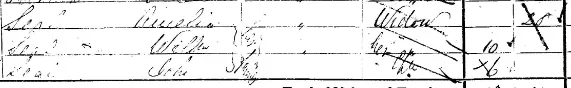 1781106068295.webp