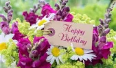 1781439698005.webp