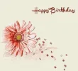 1784443385542.webp