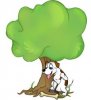 Tree.JPG Tree.JPG