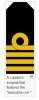 Captain's insignia.JPG