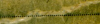 upload_2016-7-20_11-59-18.png
