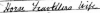 Anne Hodgkinson.png