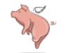 flying pig.JPG