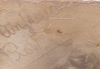 Unidentified lady, Lee side detail.png